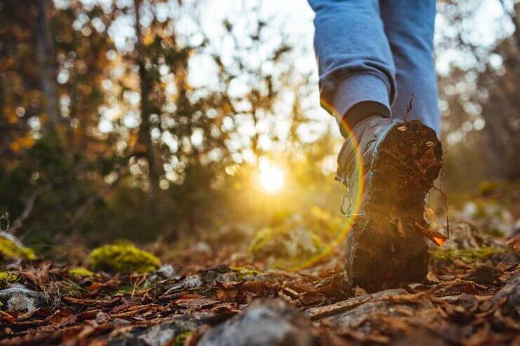 Scarpone che cammina in un prato di foglie nel bosco